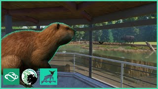 Finally the dam BEAVERS  Raven Creek Park  Planet Zoo  42 [upl. by Allen972]