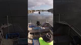 Nerang River Fishing  fishing fish whiting shorts [upl. by Olenolin]