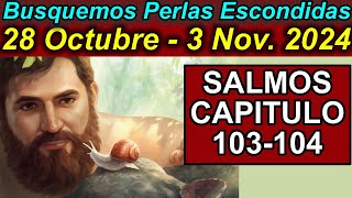 Busquemos PERLAS ESCONDIDAS de esta semana 28 Octubre3 de Noviembre 2024 Comentarios [upl. by Wallack16]