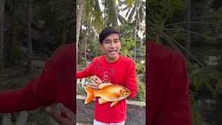 মাছ 🐟 চুরির VLOG 😂  minivlog banglavlog [upl. by Derwood]