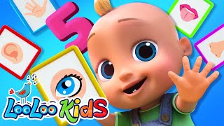 𝑵𝑬𝑾👀Explore the Five Senses  S3EP87 Kindergarten Fun  LooLoo Kids Songs for Kids [upl. by Tarrance]