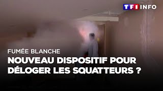 Fumée blanche  nouveau dispositif pour déloger les squatteurs [upl. by Ealasaid]