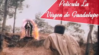 Película quotLa Virgen de Guadalupequot Narra la Historia de las Apariciones de la Virgen de Guadalupe [upl. by Loux]