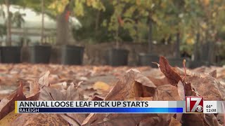 Annual loose leaf pick up in Raleigh starts [upl. by Pedrotti]