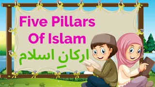 Islamic Cartoon for Kids  Learn 5 Pillars of Islam  Urdu Cartoon  Arkan e islam  Doodle Dazzle [upl. by Ayotas]