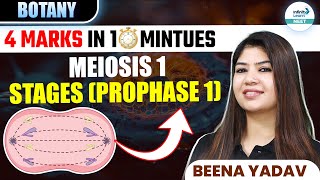 Stages of Prophase 1 of Meiosis 1  🎯4 Marks in ⏰ 10 Minutes  Class 11 botany  NEET 2025 [upl. by Tate]