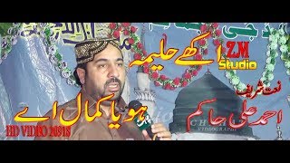 Aakhy Haleema Hoya Kamal Ay  Ahmad Ali Hakim 2018  New Naat 2018 By ZM Studio [upl. by Stafani83]