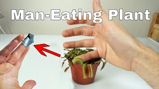 I Let a Venus Flytrap Digest My Finger For a Day–Little Shop of Horrors Challenge [upl. by Boswell109]