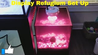 My New Display Refugium Set Up [upl. by Ahsytal]