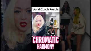 🎤3 Part Harmony vocalcoachreacts [upl. by Nagrom]