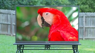 Sylvox 4K TV 43 inch Review [upl. by Olram831]