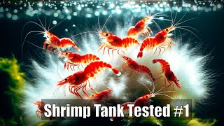 Shrimp Tank Tested 1  Polysaccharides from AgarAgar for BiofilmShrimp Food Production [upl. by Euqinotna]