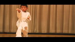 Shotokan karate kata 1 beacon program [upl. by Naivaf]