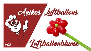 Tutorial 02 Luftballonblume Anikas LuftballonKunst So einfach geht´s [upl. by Ecnirp]