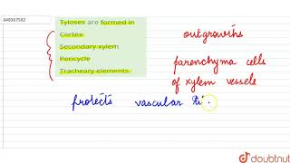 Tyloses are formed in  11  HISTOLOGY AND ANATOMY OF FLOWERING PLANTS  BIOLOGY  AAKASH SERIE [upl. by Figge]