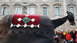 450 anys de la Mulassa de Barcelona I Ball de la Mula Baba de Girona I Gegants Mulassa [upl. by Daveen50]