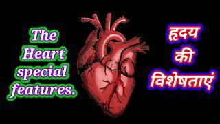 Heart pumping blood aorta body mechanics heart health circulatory system heart cardiovascular [upl. by Anairol]