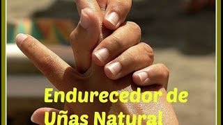 Endurecedor De Uñas Natural Nail Hardener Crecimiento De Las Uñas [upl. by Younglove504]