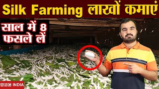 Silk Farming  साल में 8 बार फसल लें  Sericulture  Resham ki kheti  Profitable Farming  Subsidy [upl. by Sabba391]