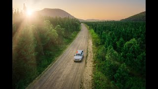 Upper Stony Creek Byfield Forestry Camping 4wd Freshwater Creek Central Queensland Ep 20 [upl. by Meijer]