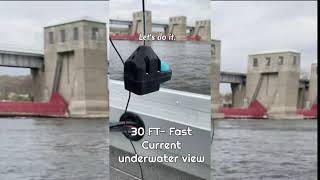 Watch Fish 30ft Below A Giant MIssissippi Dam [upl. by Nileek]