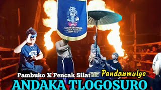 Pambuko X Atraksi Pencak Silat Bantengan ANDAKA TLOGOSURO Live Pandanmulyo [upl. by Warrin936]