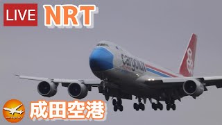 🔴LIVE at NARITA International Airport Plane Spotting 20240120 成田空港ライブカメラ 成田空港 NRTRJAA [upl. by Darline851]