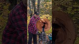 Showdown Yardworks 5 Ton Electric Log Splitter vs a 20quot Cherry Round Split or Quit [upl. by Crellen]