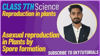 Reproduction in Plants Asexual reproduction in Plants class 7th CBSE by Spore formation spores [upl. by Dnomaid]