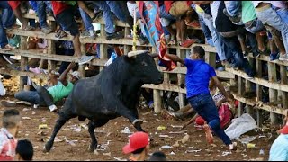 Inside Colombias Insane Bull Running Parties Gringo En Las Corralejas De Tolu Domingo [upl. by Dohsar]