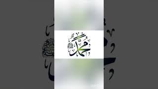 No music naat  naat aey saba mustufa sey keh denashortsislamic status [upl. by Carmelina279]