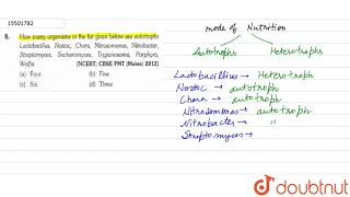 How many organism in the list given below are autotrophs Lactobacillus Nostoc Chara Nitrosomonas [upl. by Thalassa939]