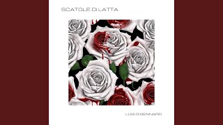 SCATOLE DI LATTA [upl. by Roxie739]