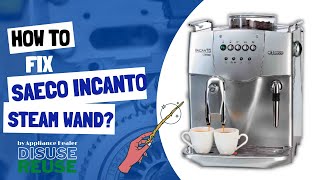 HOW TO FIX SAECO INCANTO LEAKING WATER THRU STEAM WAND WHILE TRYING TO PULL ESPRESSO SHOT [upl. by Gershon270]