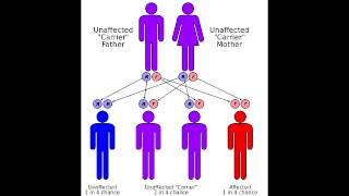 Friedreichs Ataxia  Causes Symptoms amp Mnemonics [upl. by Grissom]