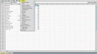 SPSS VideoSeminar  Teil 47 Statistiken  Clusteranalyse [upl. by Eolande714]