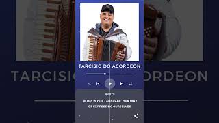 tarcisio do acordeon 2024 short tarcisiodoacordeon musicanovas [upl. by Havot]