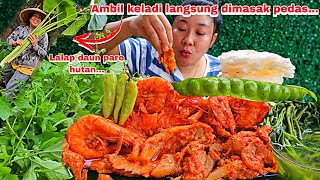 AMBIL BATANG KELADI DIRUMAH EMAK MASAK OSENG PEDAS CAMPUR UDANG DAN MAKAN LALAP DAUN PARE HUTAN [upl. by Maighdlin294]