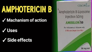 amphotericin b pharmacology [upl. by Mauralia]