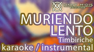 Muriendo Lento INSTRUMENTAL  KARAOKE  Timbiriche [upl. by Yauqaj890]