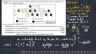 EXERCICE DE LEXAMEN NATIONAL  genetique humaine dir attention m3a had les astuces [upl. by Adnalor970]