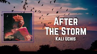 After The Storm Lyrics  Kali Uchis [upl. by Norda]