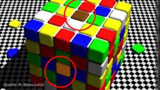 Trügerischer Schatten täuscht Gehirn  Optische Illusion der Woche [upl. by Shelman]