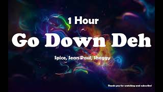 Spice Sean Paul Shaggy  Go Down Deh  1 Hour [upl. by Aieka]