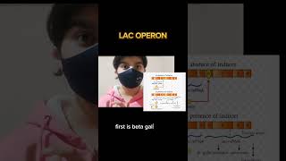 LAC OPERON Class 12th biology [upl. by Melessa]