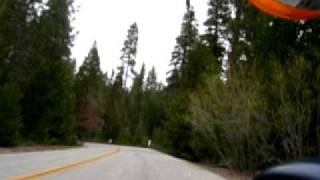 Sequoia National Park  road 190 [upl. by Ramilahs]