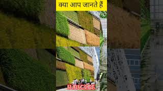 Vertical farming in Israel shorts facts factsinhindi trending farming [upl. by Assed33]