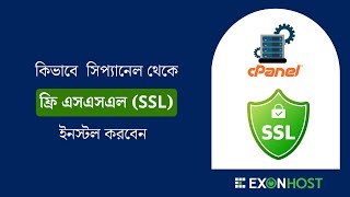 How to Install Free SSL Certificate in cPanelExonHost [upl. by Anitnegra]