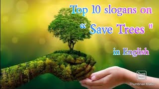 Top 10 slogans on Trees in English  Slogan on Save Trees in English  Save Trees slogans in English [upl. by Stoneham812]