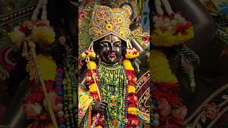 श्री कृष्ण गोविंद हरे मुरारी ।। krishna bhajan ytshortsindia shorts [upl. by Schach749]